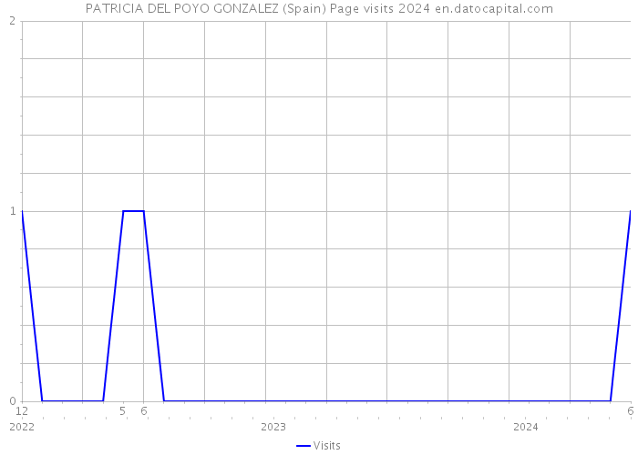 PATRICIA DEL POYO GONZALEZ (Spain) Page visits 2024 