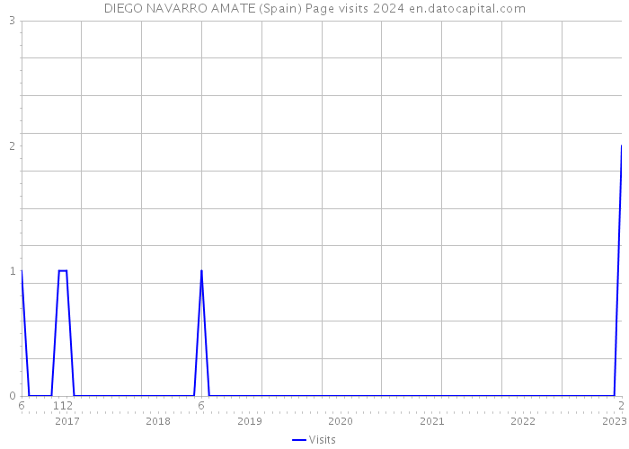 DIEGO NAVARRO AMATE (Spain) Page visits 2024 