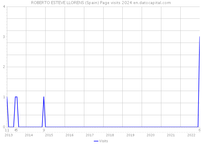 ROBERTO ESTEVE LLORENS (Spain) Page visits 2024 