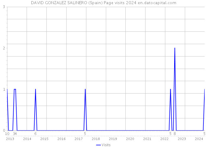 DAVID GONZALEZ SALINERO (Spain) Page visits 2024 