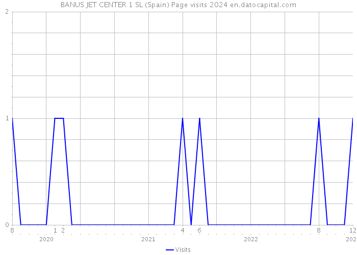 BANUS JET CENTER 1 SL (Spain) Page visits 2024 