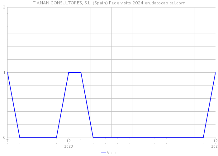 TIANAN CONSULTORES, S.L. (Spain) Page visits 2024 