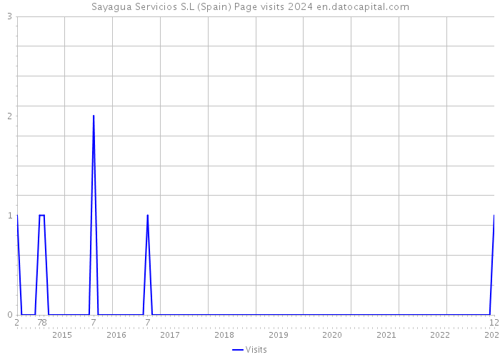 Sayagua Servicios S.L (Spain) Page visits 2024 