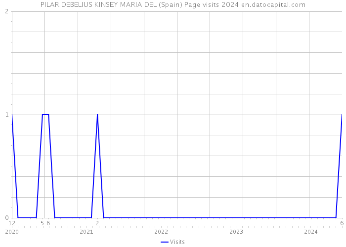 PILAR DEBELIUS KINSEY MARIA DEL (Spain) Page visits 2024 