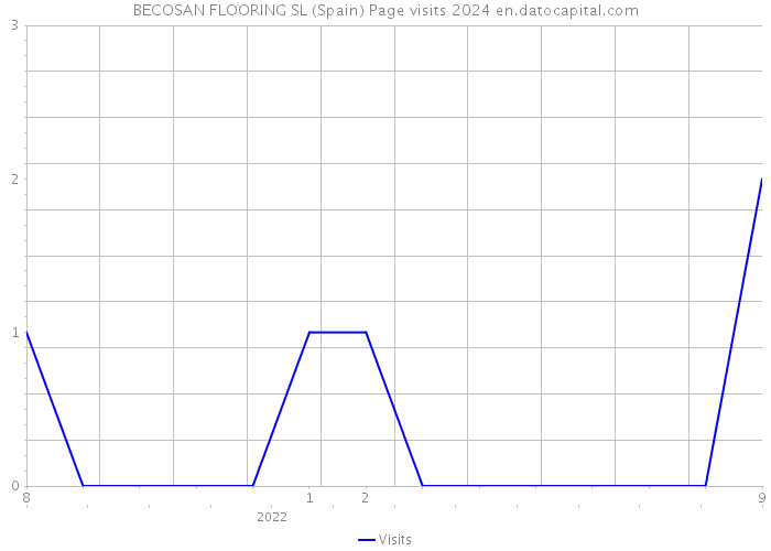 BECOSAN FLOORING SL (Spain) Page visits 2024 