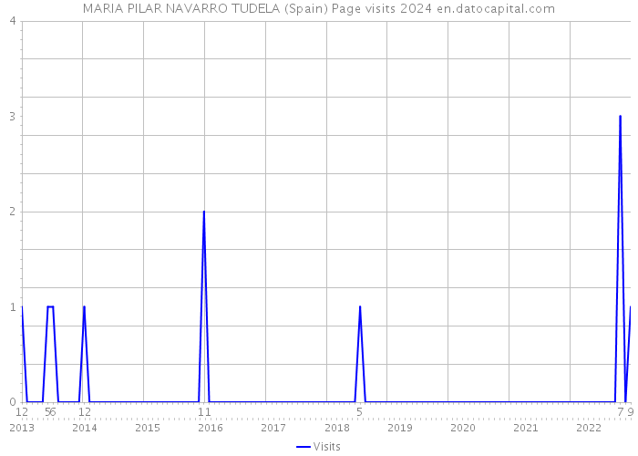 MARIA PILAR NAVARRO TUDELA (Spain) Page visits 2024 