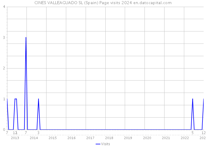 CINES VALLEAGUADO SL (Spain) Page visits 2024 
