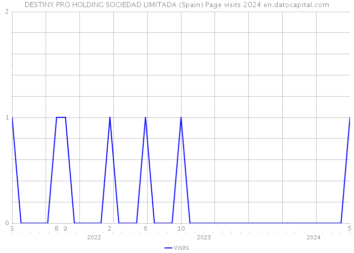DESTINY PRO HOLDING SOCIEDAD LIMITADA (Spain) Page visits 2024 