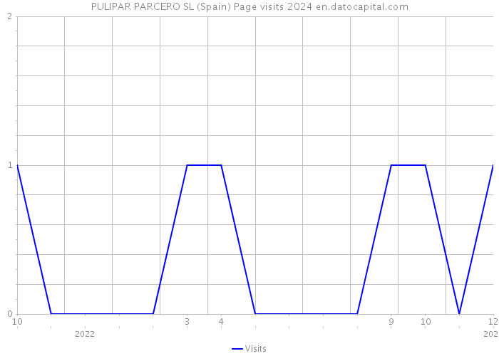 PULIPAR PARCERO SL (Spain) Page visits 2024 