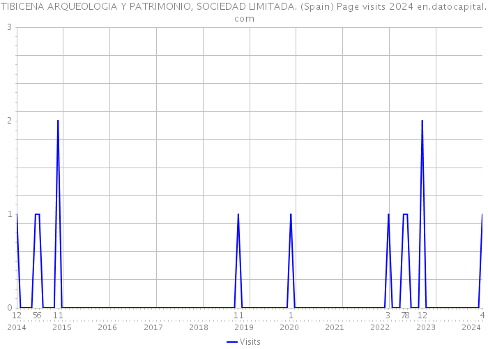TIBICENA ARQUEOLOGIA Y PATRIMONIO, SOCIEDAD LIMITADA. (Spain) Page visits 2024 