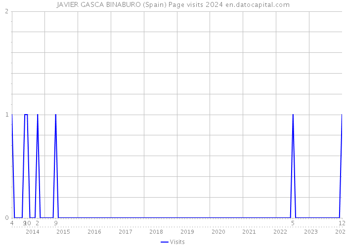 JAVIER GASCA BINABURO (Spain) Page visits 2024 
