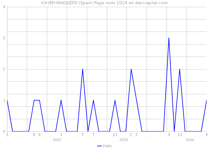 KAVEH MADJLESSI (Spain) Page visits 2024 