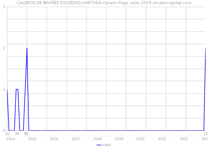 CALEROS DE BRAÑES SOCIEDAD LIMITADA (Spain) Page visits 2024 