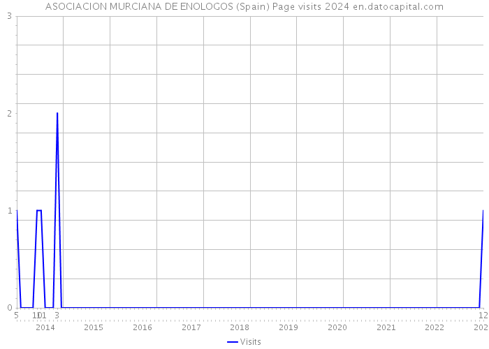 ASOCIACION MURCIANA DE ENOLOGOS (Spain) Page visits 2024 