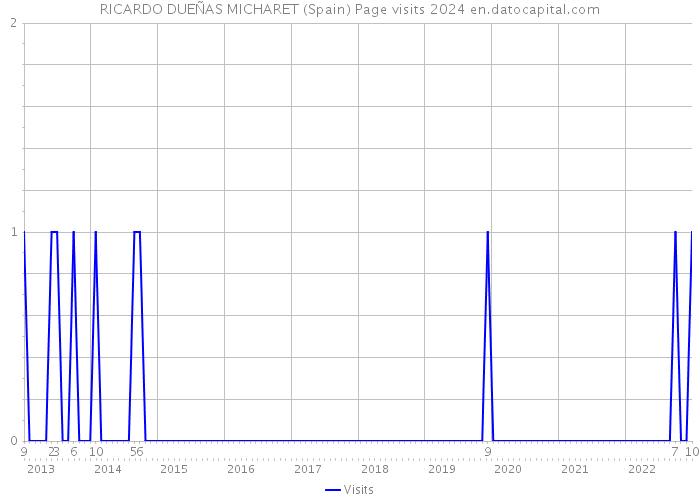 RICARDO DUEÑAS MICHARET (Spain) Page visits 2024 