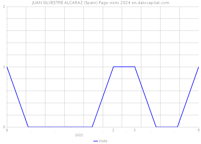 JUAN SILVESTRE ALCARAZ (Spain) Page visits 2024 