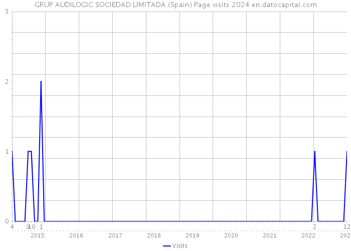 GRUP AUDILOGIC SOCIEDAD LIMITADA (Spain) Page visits 2024 