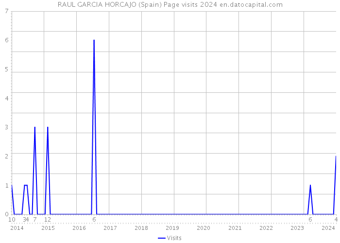 RAUL GARCIA HORCAJO (Spain) Page visits 2024 