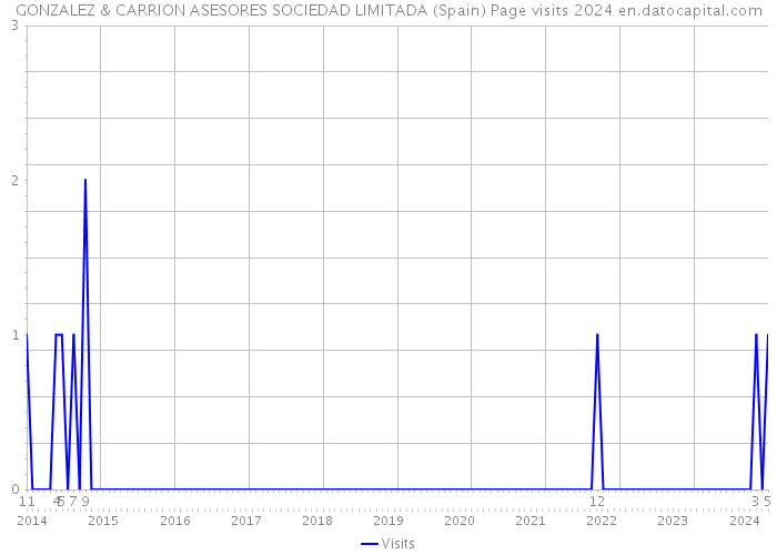 GONZALEZ & CARRION ASESORES SOCIEDAD LIMITADA (Spain) Page visits 2024 