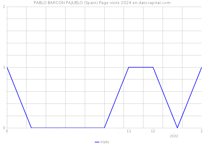 PABLO BARCON PAJUELO (Spain) Page visits 2024 