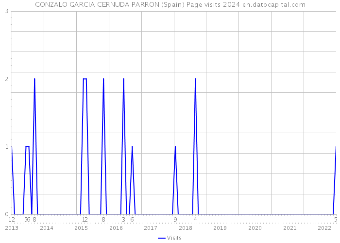 GONZALO GARCIA CERNUDA PARRON (Spain) Page visits 2024 