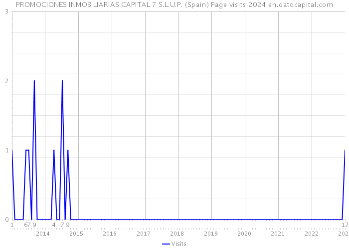 PROMOCIONES INMOBILIARIAS CAPITAL 7 S.L.U.P. (Spain) Page visits 2024 