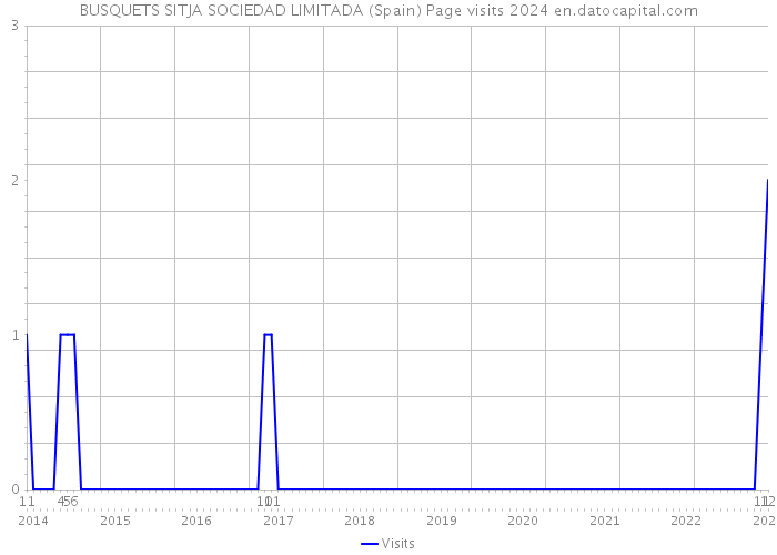BUSQUETS SITJA SOCIEDAD LIMITADA (Spain) Page visits 2024 