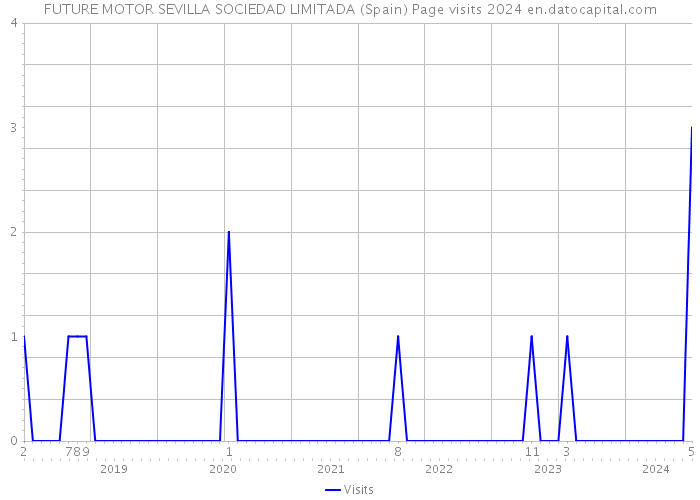 FUTURE MOTOR SEVILLA SOCIEDAD LIMITADA (Spain) Page visits 2024 