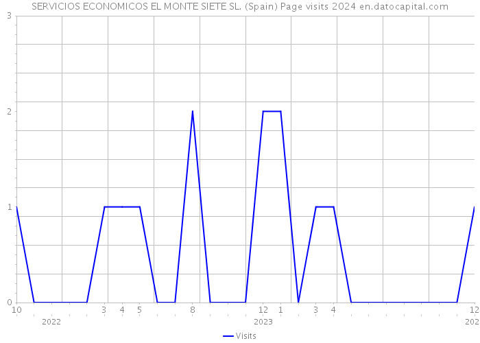 SERVICIOS ECONOMICOS EL MONTE SIETE SL. (Spain) Page visits 2024 