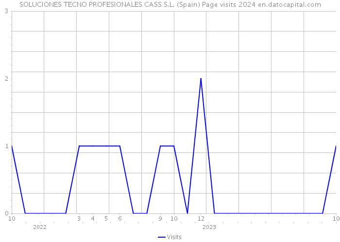 SOLUCIONES TECNO PROFESIONALES CASS S.L. (Spain) Page visits 2024 