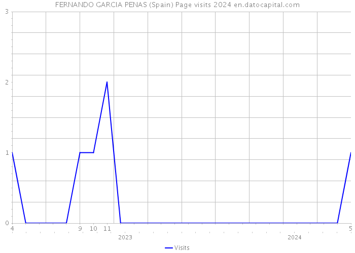 FERNANDO GARCIA PENAS (Spain) Page visits 2024 