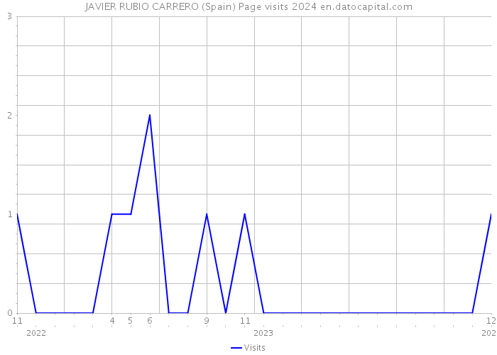 JAVIER RUBIO CARRERO (Spain) Page visits 2024 