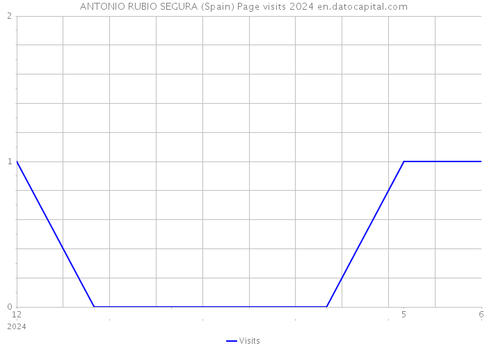 ANTONIO RUBIO SEGURA (Spain) Page visits 2024 