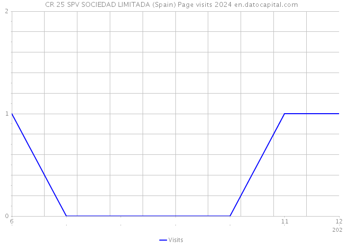 CR 25 SPV SOCIEDAD LIMITADA (Spain) Page visits 2024 