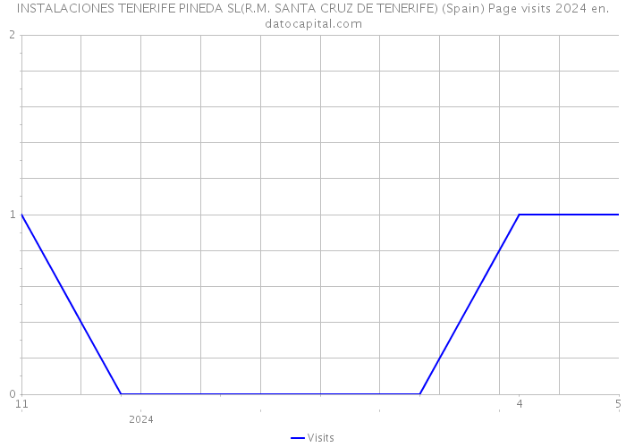 INSTALACIONES TENERIFE PINEDA SL(R.M. SANTA CRUZ DE TENERIFE) (Spain) Page visits 2024 