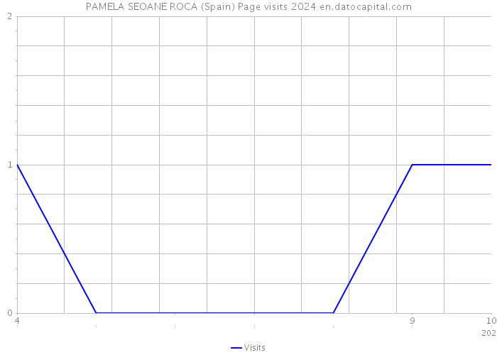 PAMELA SEOANE ROCA (Spain) Page visits 2024 