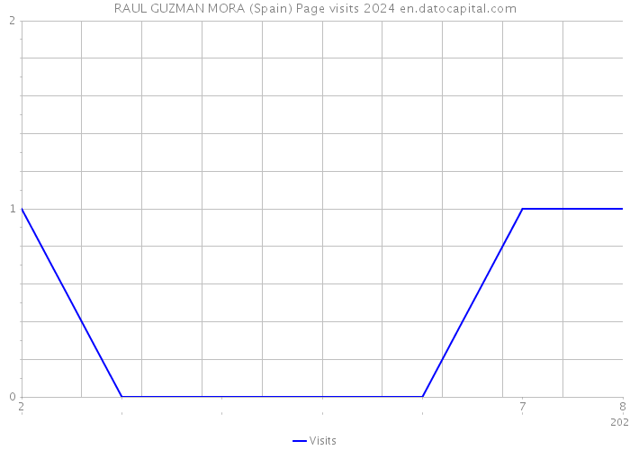 RAUL GUZMAN MORA (Spain) Page visits 2024 