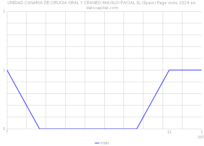 UNIDAD CANARIA DE CIRUGIA ORAL Y CRANEO-MAXILO-FACIAL SL (Spain) Page visits 2024 