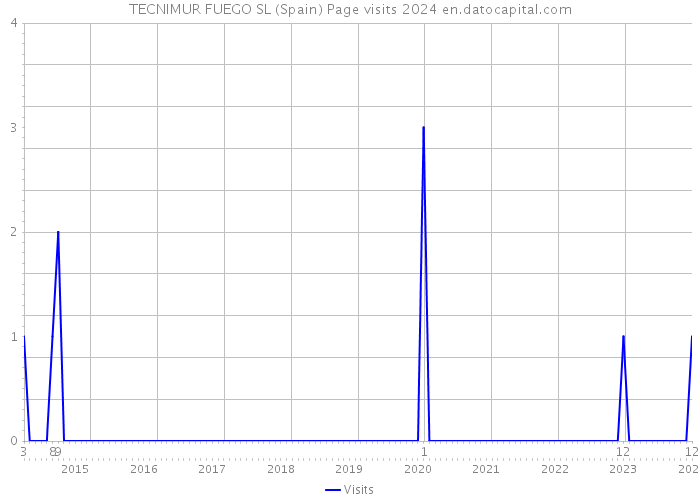 TECNIMUR FUEGO SL (Spain) Page visits 2024 