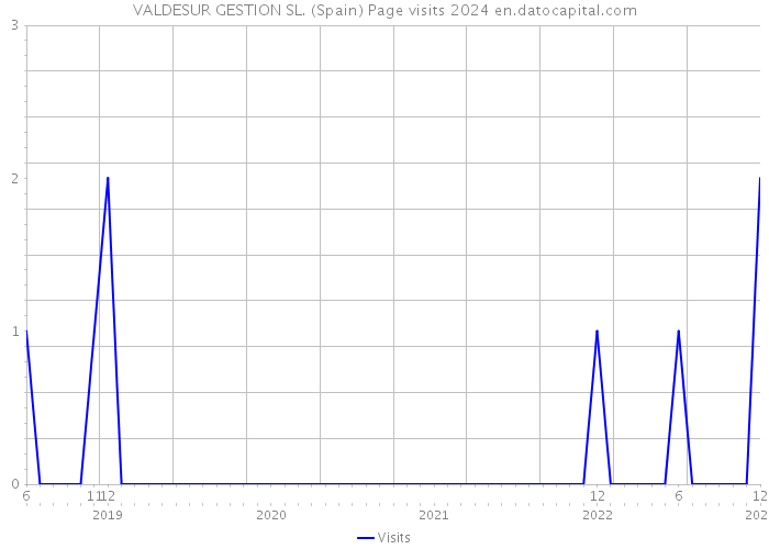 VALDESUR GESTION SL. (Spain) Page visits 2024 