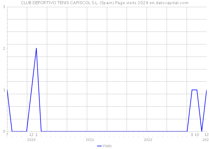 CLUB DEPORTIVO TENIS CAPISCOL S.L. (Spain) Page visits 2024 