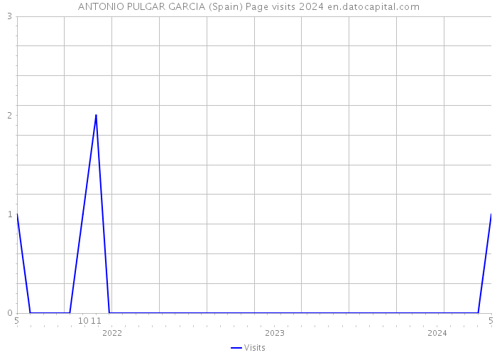 ANTONIO PULGAR GARCIA (Spain) Page visits 2024 