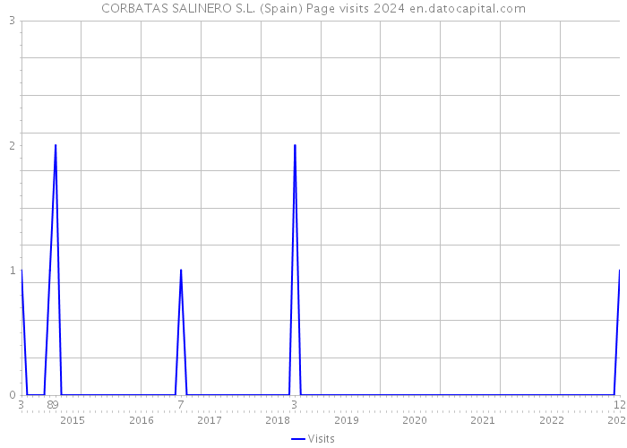 CORBATAS SALINERO S.L. (Spain) Page visits 2024 
