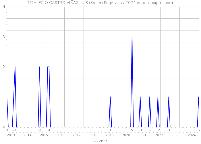 INDALECIO CASTRO VIÑAS LUIS (Spain) Page visits 2024 