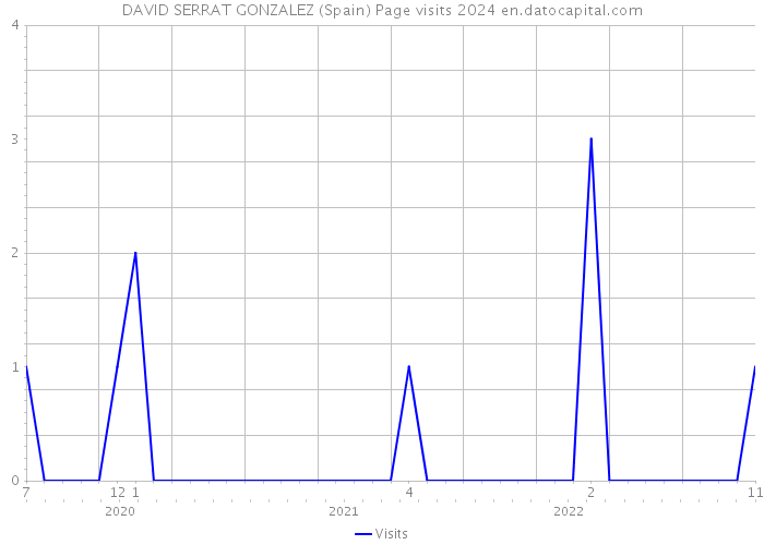 DAVID SERRAT GONZALEZ (Spain) Page visits 2024 