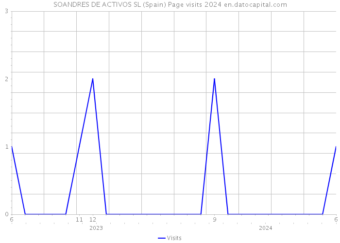 SOANDRES DE ACTIVOS SL (Spain) Page visits 2024 