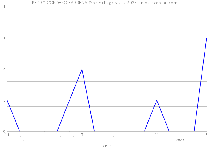 PEDRO CORDERO BARRENA (Spain) Page visits 2024 