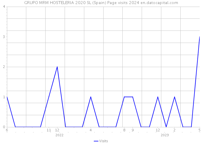 GRUPO MRM HOSTELERIA 2020 SL (Spain) Page visits 2024 