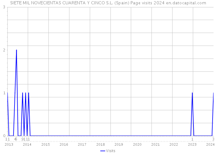 SIETE MIL NOVECIENTAS CUARENTA Y CINCO S.L. (Spain) Page visits 2024 