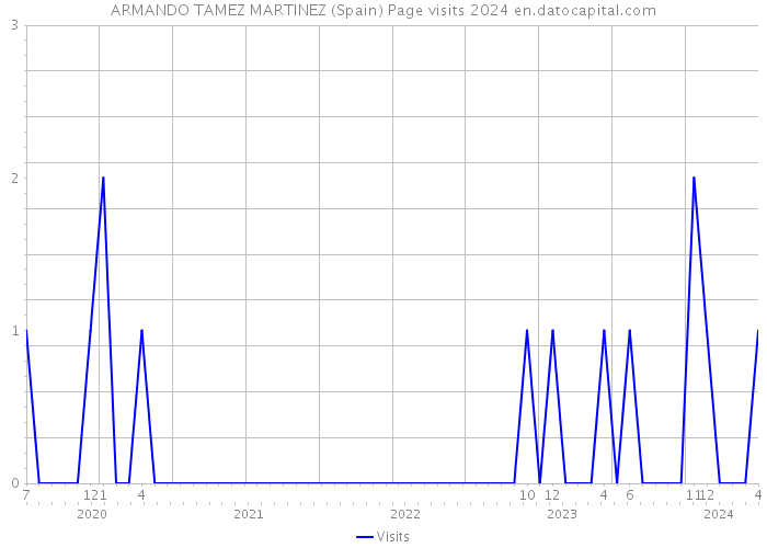 ARMANDO TAMEZ MARTINEZ (Spain) Page visits 2024 